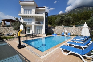 Villa Zeytin 0 Resim